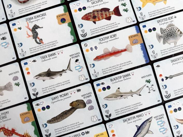 Finspan - Sharks & Reefs Expansion