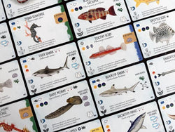 Finspan - Sharks & Reefs Expansion