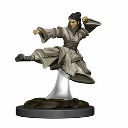 D&D Miniatures (prepainted)